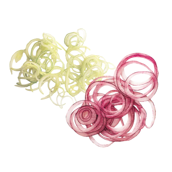 Disc de feliere 1mm, cod 28062W, cu diametrul de 190 mm, Robot Coupe [1]