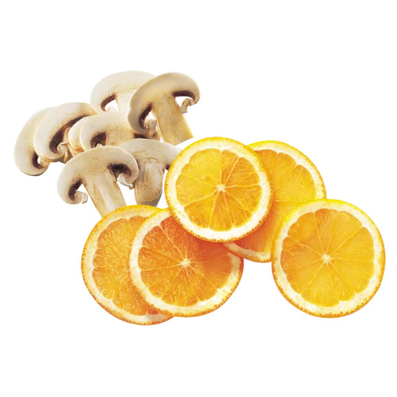 Disc de feliere 3mm, cod 27086, cu diametrul de 175 mm, Robot Coupe [1]