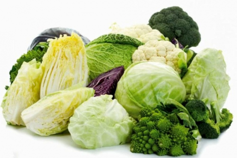 Disc feliere 4mm cu lama dreapta, model E-4, Fimar [2]