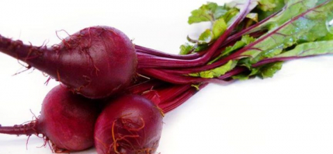 Disc feliere 4mm cu lama dreapta, model E-4, Fimar [4]