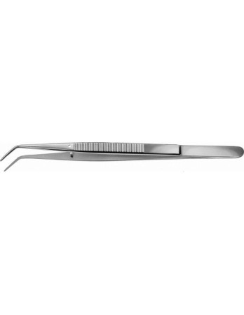 Instrumentar diagnosticare dentară - Cleste stomatologic LONDON-COLLEGE, angulat, fin
