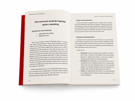 Antrenamentul de Marketing [4]