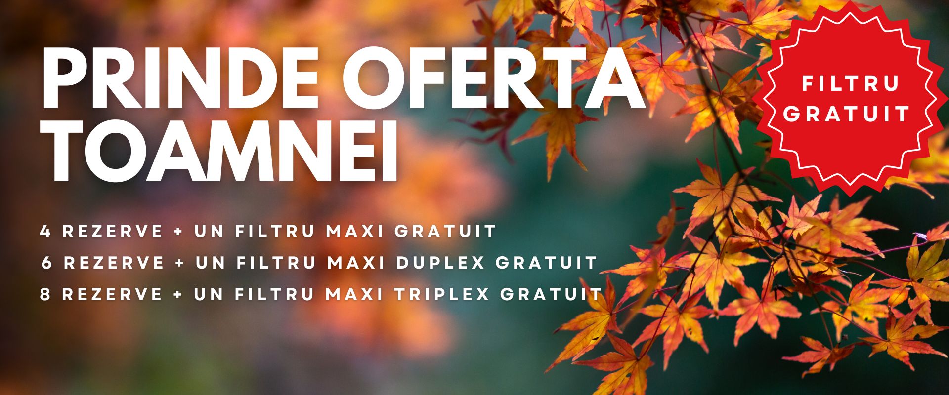 oferta toamna