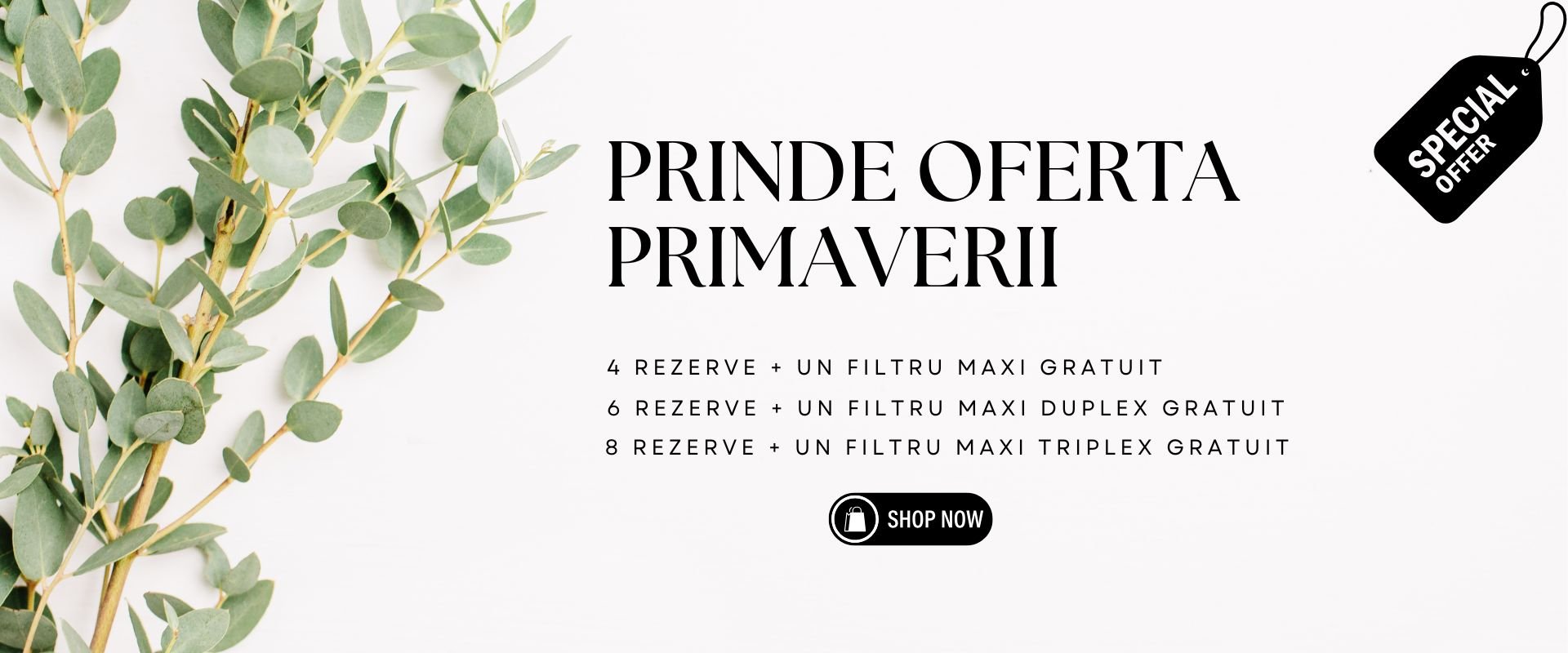 oferta iarna