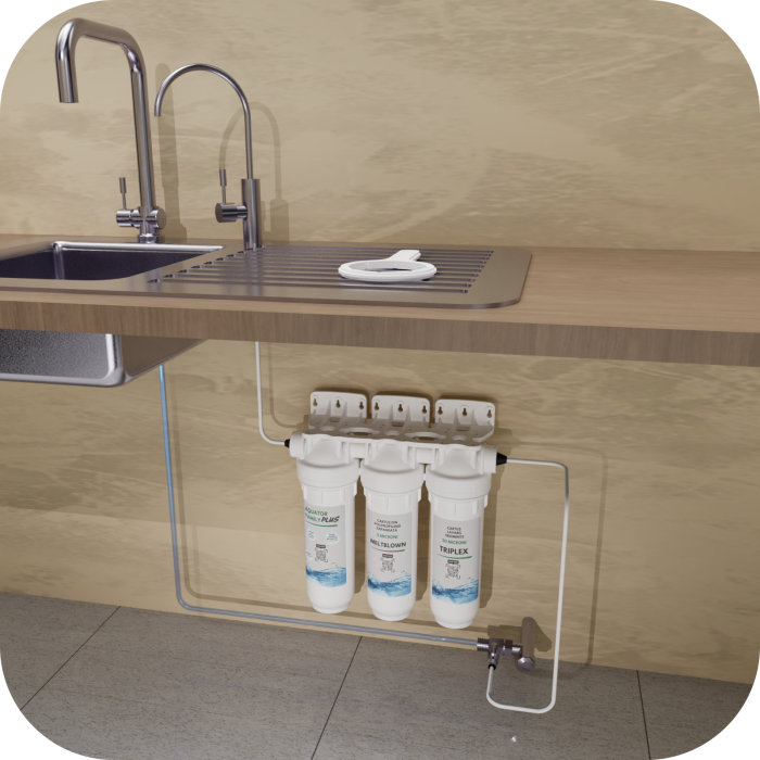 Filtru de apa, Aquator Family Triplex, 8000 - 10000 L [6]