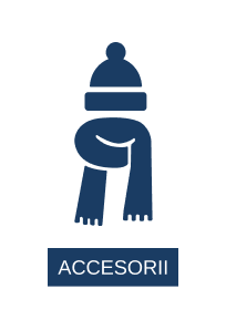 Accesorii