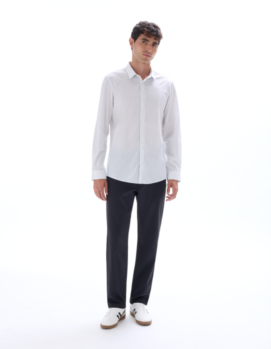 Celio Camasa Alba  Barbati [1]