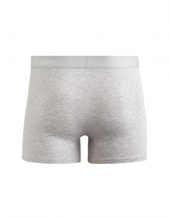 Celio Мужское Нижнее Белье Светло-серое  [2]