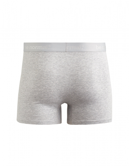 Celio Мужское Нижнее Белье Светло-серое  [2]