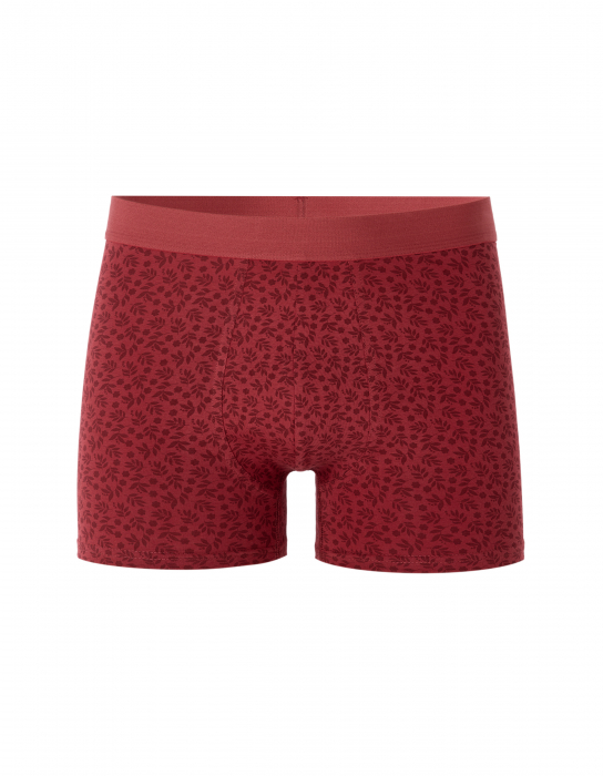 Celio Lenjerie Rosie  Barbati [1]