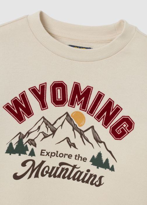 OVS Kids Свитшот Для Мальчиков Бежевый 3-10 Лет [3]