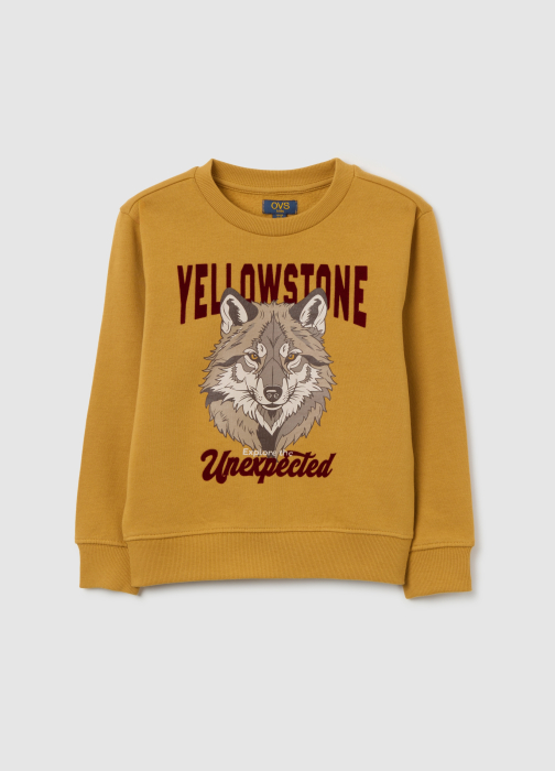 OVS Kids Свитшот Для Мальчиков Honey Mustard 3-10 Лет [1]