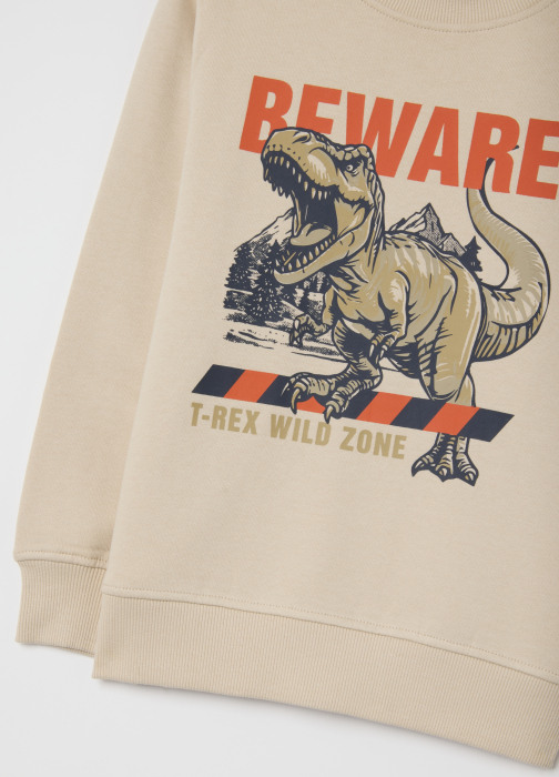 OVS Kids Set Hanorac+Jogger Peyote Baieti 3-10 Ani [3]