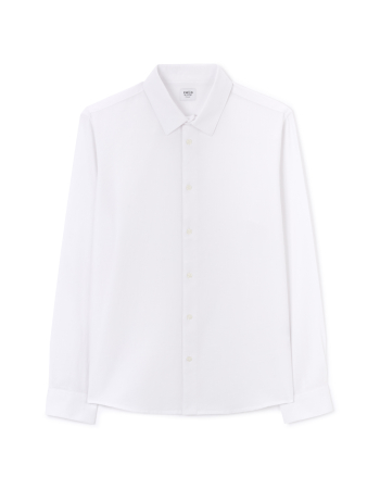 Celio Camasa Alba  Barbati [4]