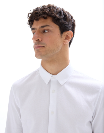 Celio Camasa Alba  Barbati [3]