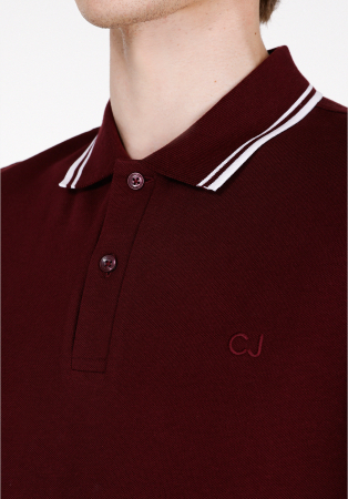 COLIN'S Tricou Polo Rosu Visiniu Regular Barbati [3]