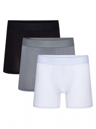 Lenjerie Intima - Lee Set Lenjerie Multicolor  Barbati