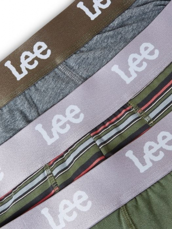 Lee Set Lenjerie Multicolor  Barbati [7]