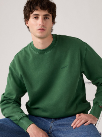 Levi's Мужской Свитшот Зелёный Relaxed [1]