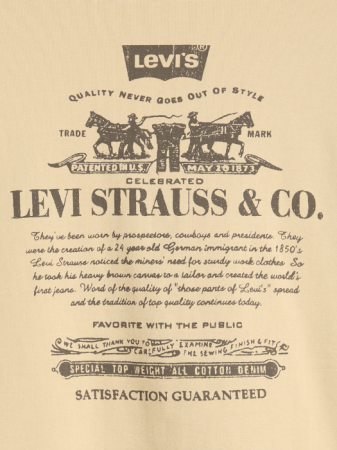 Levi's Толстовка Gri Regular [4]