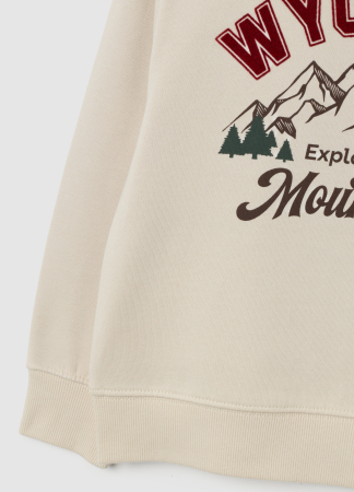 OVS Kids Свитшот Для Мальчиков Бежевый 3-10 Лет [3]