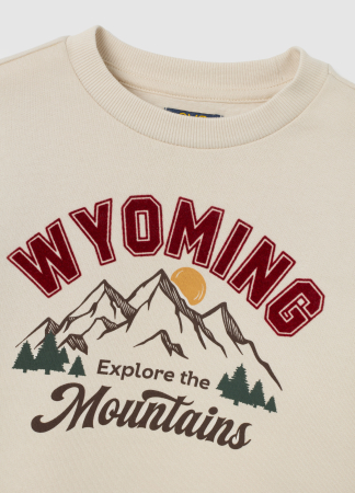 OVS Kids Свитшот Для Мальчиков Бежевый 3-10 Лет [2]