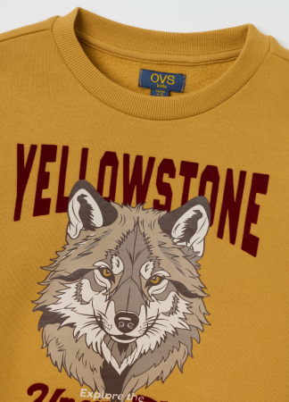 OVS Kids Свитшот Для Мальчиков Honey Mustard 3-10 Лет [2]