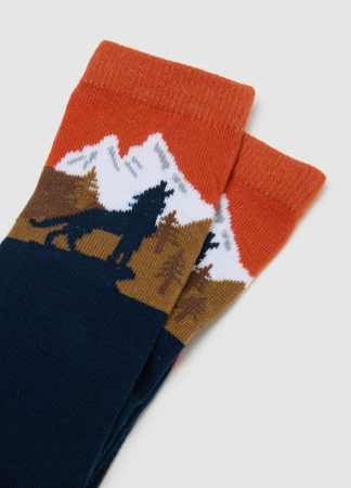 OVS Kids Носки Для Мальчиков Синие/Красные 3-10 Лет [1]