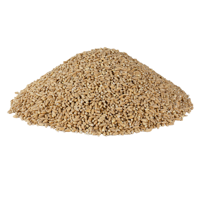 Arpacaș din Spelta Ecologic - 20kg [3]