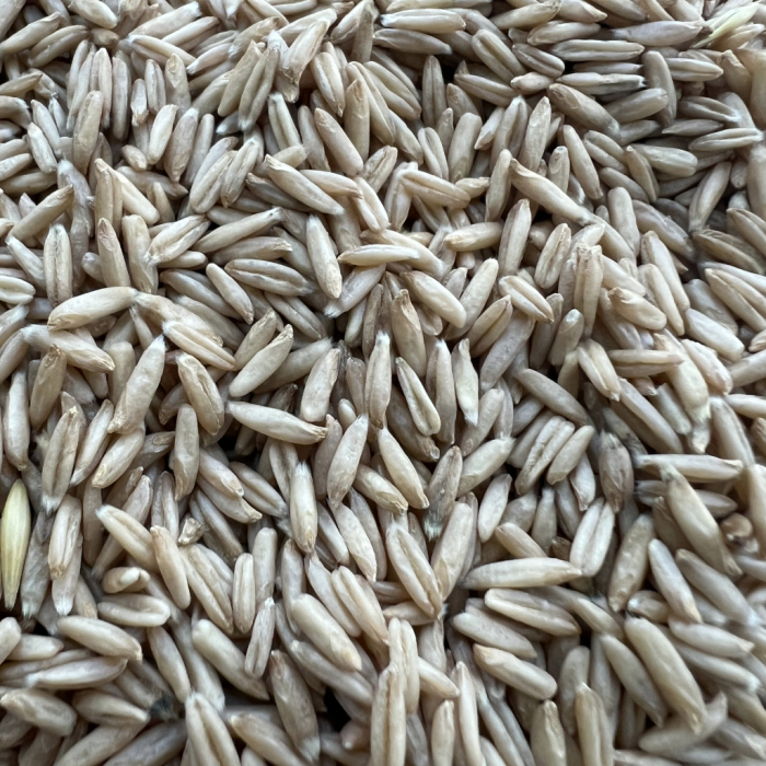 Boabe de ovăz întregi ecologice - 1kg [2]