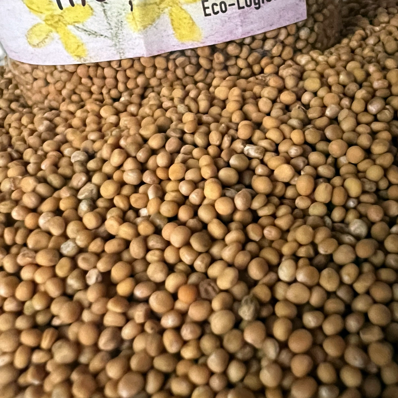 Boabe Muștar ecologic - 170g [2]