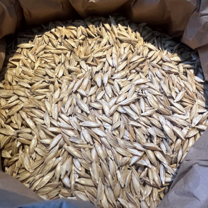 Einkorn Nedecorticat ECO pentru Culturi de Iarbă - 3kg [3]