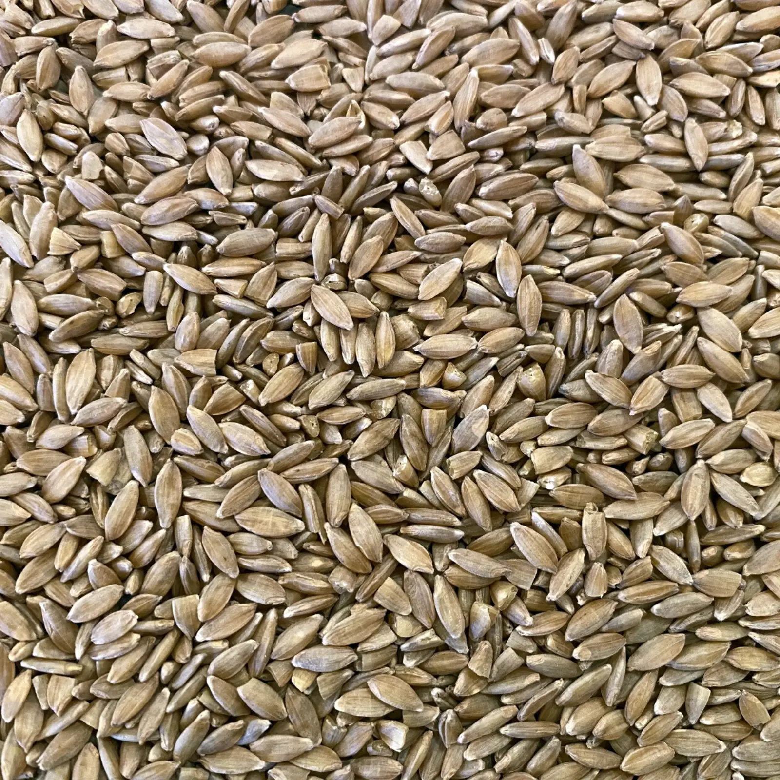 Făină-Integrală-Ecologică-Einkorn-20kg [2]