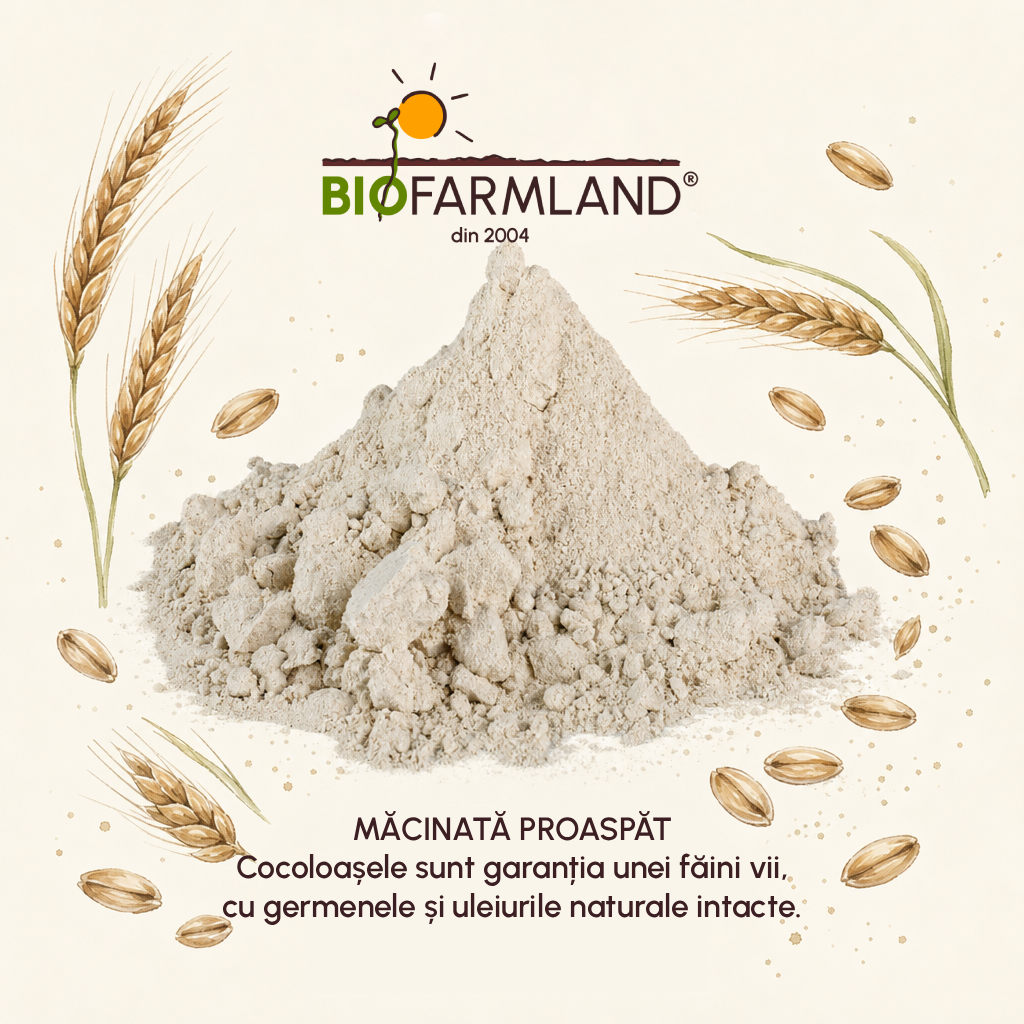 Făină integrală Emmer ecologică | 20kg [3]