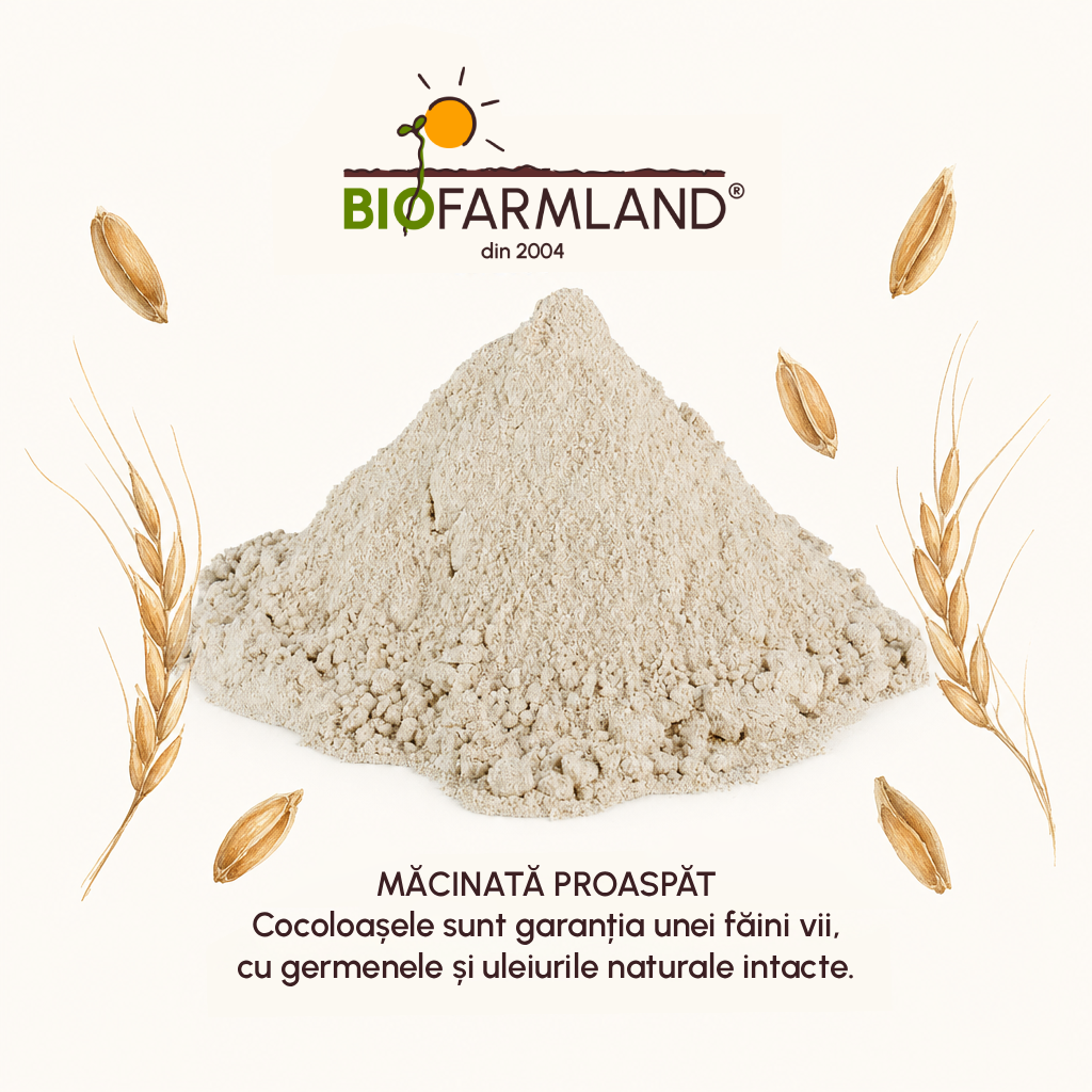 Făină Integrală Ecologică de Spelta - 5 kg [3]