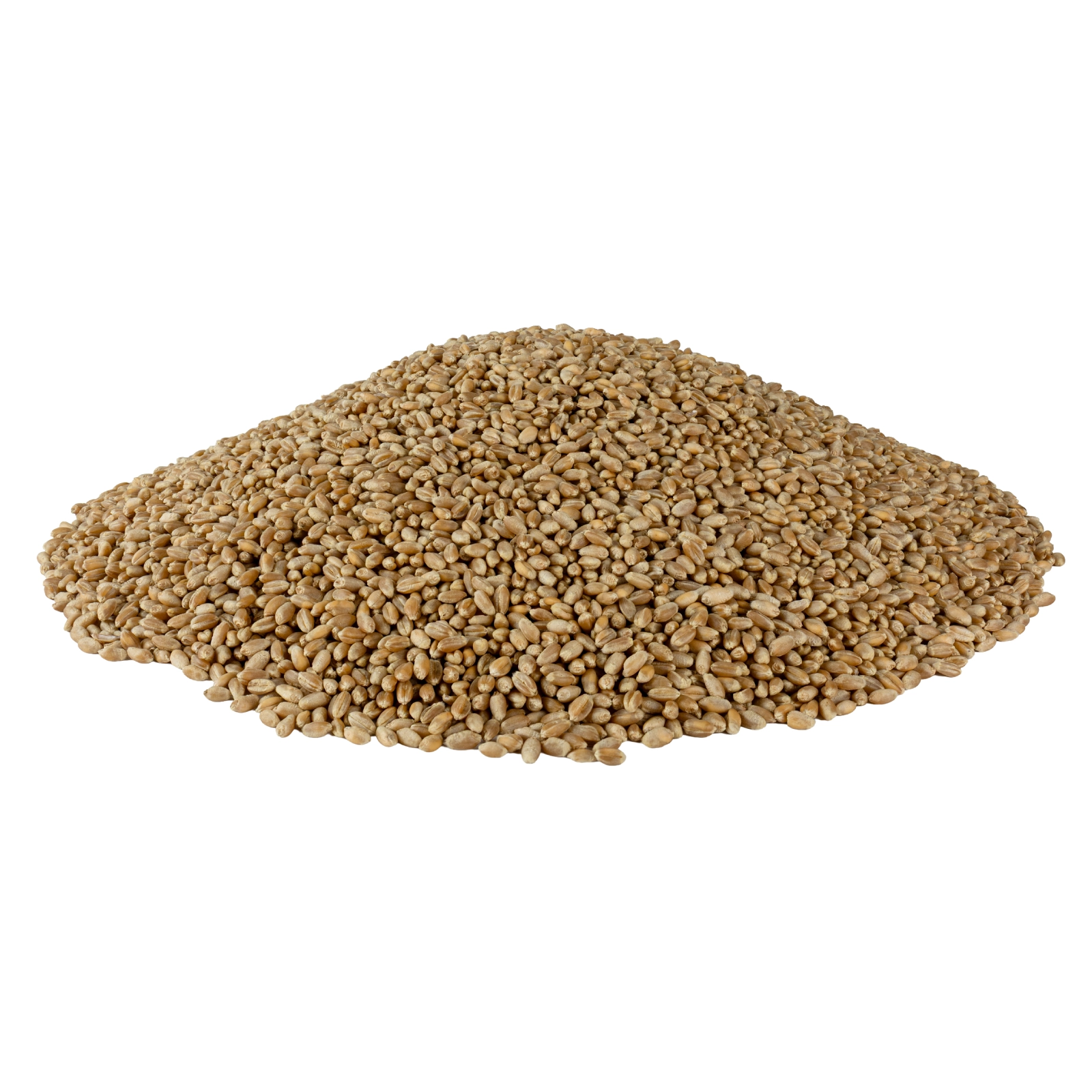 Boabe Cereale Grâu Ecologice - 5kg [3]