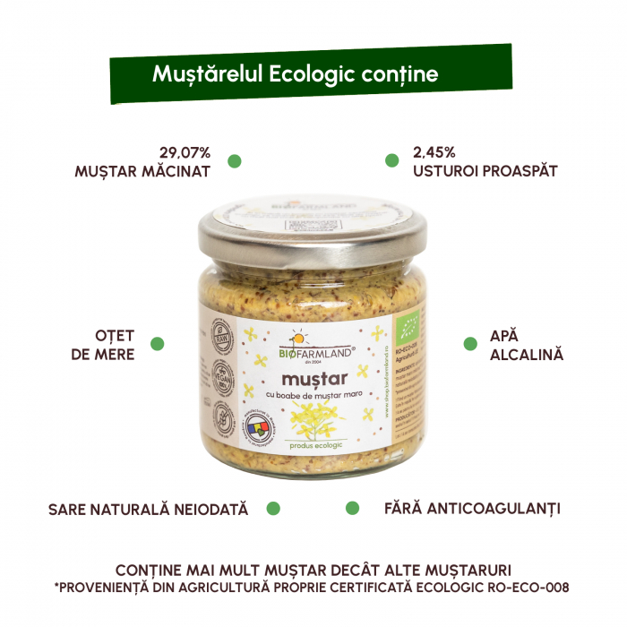 Muștar Clasic no 2 din boabe maro ecologic - 195g [3]