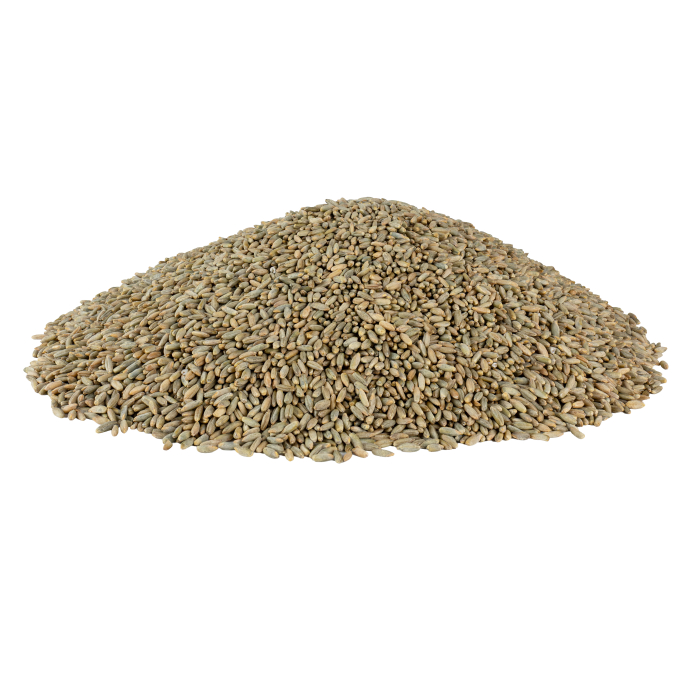 Boabe Cereale Secară Ecologice - 20kg [3]