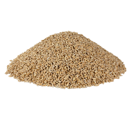 Arpacaș din Spelta Ecologic - 750g [2]