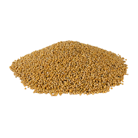 Boabe muștar ecologic | 170g [3]