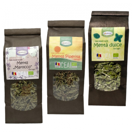 Ceaiuri bio - Ceai ECOLOGIC Pasionat de Mentă - 120g
