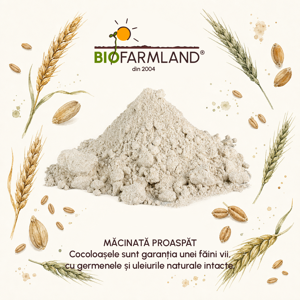 Făină Integrală „Amestec pentru Pâine” BIO - 5kg [2]