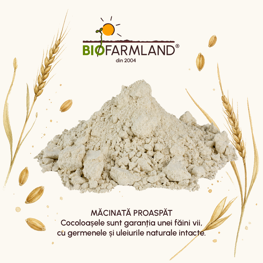 Făină-Integrală-Ecologică-Einkorn-5kg [2]