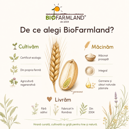 Făină Integrală Ecologică de Grâu - 5 kg [3]