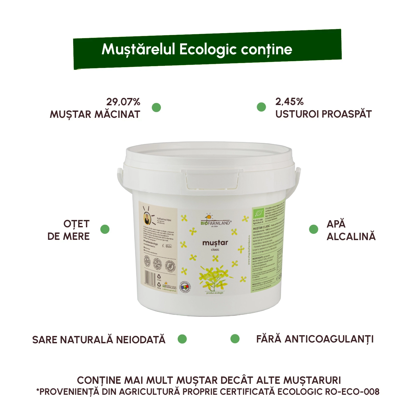 Muștar Clasic ecologic - 2,5 kg [2]