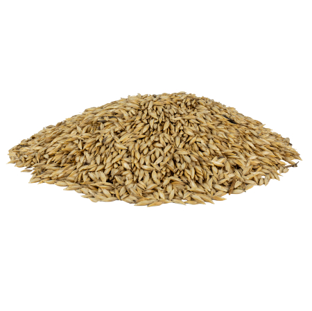 Orzoaică Nedecorticată ECO pentru Culturi de Iarbă - 5kg [2]