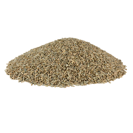 Boabe Cereale Secară Ecologice - 20kg [2]