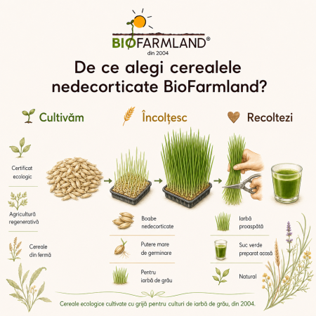 Spelta Nedecorticată ECO pentru Culturi de Iarbă - 3kg [2]