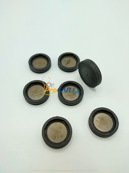 Pistoane furci DSG DQ250 [3]