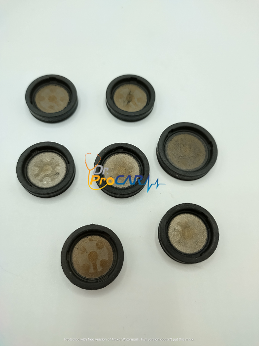 Pistoane furci DSG DQ250 [2]